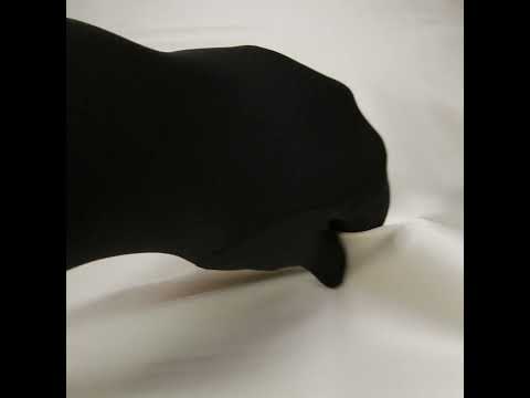 Soft Double Face Polyester Twill - Oatmeal - Viola Collection - Image 6 of 6
