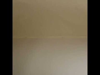 Premium Solid Quilting Cotton by Northcott - Ivory - Colorworks Collection