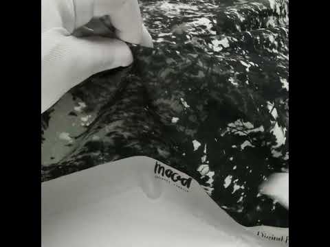 Cotton Voile - Black and White Leafy Branches - Sylvan Spectres Print - Mood Exclusive Twilight Collection