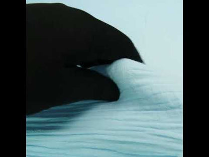 Gasa de algodón doble - Azul celeste - Colección Talamanca