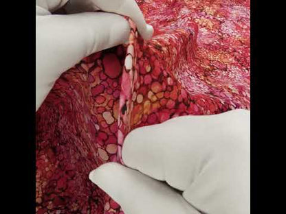 Printed Quilting Cotton by Northcott - Coral Reef Bubbles - Bliss Collection