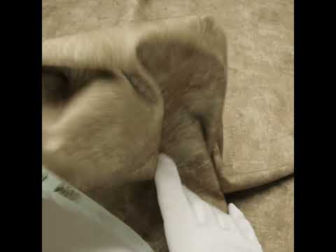 Printed Quilting Cotton by Northcott - Brown Rice Painterly Texture - Canvas Collection - Image 6 of 6