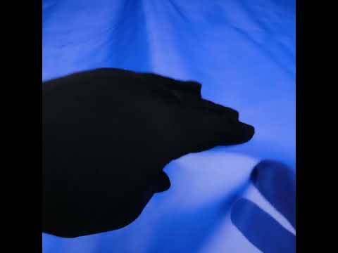 Stiff Polyester Organdy - Royal Blue - Rhiannon Collection