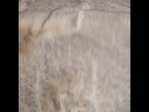 Plush Two-Tone Long Pile Recycled Polyester Faux Fur - Ivory and Charcoal - Image 6 of 6