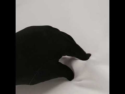 Famous Australian Designer Rosewater Polyester Crepe de Chine