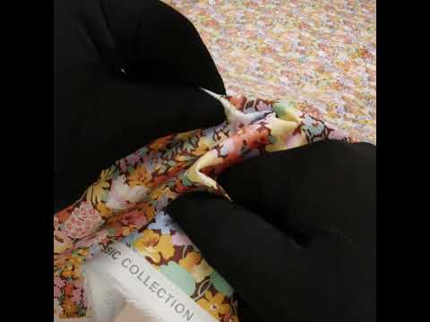 Liberty Fabrics Tana Lawn® - Thorpe Multi Pastel - Banana Yellow, Pink and Light Green Dense Floral - Image 6 of 6