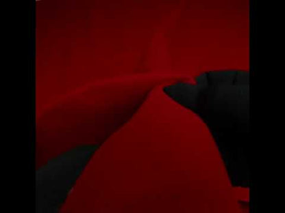 Acrylic Felt - Bright Red - Robin Collection