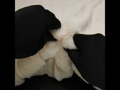 Plush Medium Pile Recycled Polyester Faux Fur with Cut Stripes - Ecru