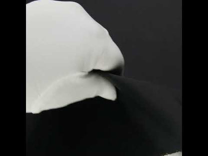 Balenciaga Italian Caviar Nylon Micro Canvas