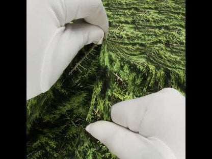 Printed Quilting Cotton by Northcott Studio - Mid Green Evergreen Trees - Naturescapes Collection