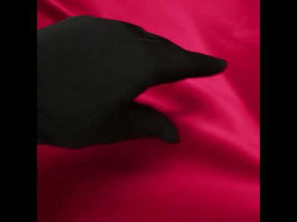 Polyester Satin - Valentine Red - Reverie Collection