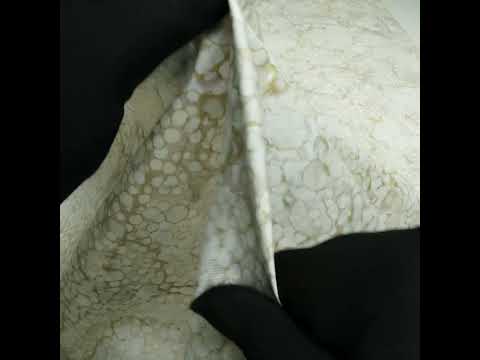 Wide Backing Quilting Cotton by Northcott, 108" Wide - Vanila Cream Bubbles - Bliss Wide Backing Collection - Image 6 of 6