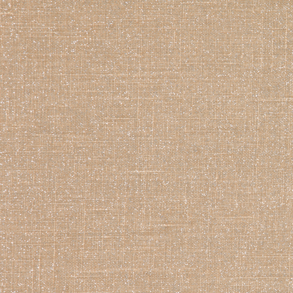 Beige/Silver Sparkle Solid Canvas