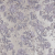 Pale Gold and Lavender Luxury Floral Metallic Brocade | Mood Fabrics