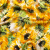 Mood Exclusive Italian Yellow and Green Sunflowers Digitally Printed Silk Charmeuse | Mood Fabrics