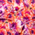 Mood Exclusive Italian Hot Coral and Purple Sunflowers Digitally Printed Silk Charmeuse | Mood Fabrics
