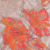 Neon Pink, Neon Orange and Metallic Silver Roses Luxury Brocade | Mood Fabrics
