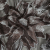 Metallic Black, White and Brown Oversized Flowers Luxury Burnout Brocade | Mood Fabrics