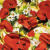Mood Exclusive Italian Red, Yellow and Green Poppies and Daisies Silk Charmeuse | Mood Fabrics