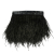 Black Two Ply Ostrich Feather Fringe Trim - 5