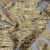 Metallic Burnout Brocade - Gold and Beige Firework Florals | Mood Fabrics