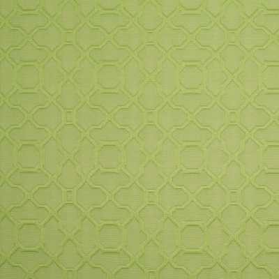 Lime Raised Lattice Pattern Cotton Woven | Mood Fabrics