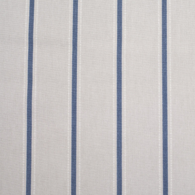 Wedgewood Striped Cotton Canvas | Mood Fabrics