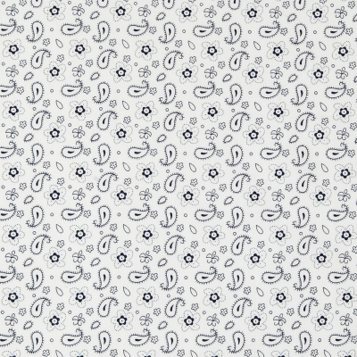White/Navy Paisley Combed Cotton Sateen | Mood Fabrics