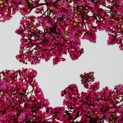 Pink and White Bougainvillea Printed Polyester Jersey | Mood Fabrics