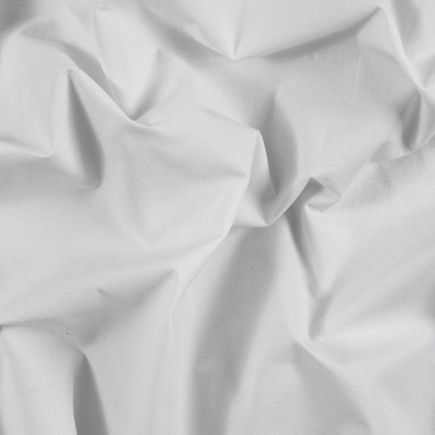 Rag & Bone White on White Pinstriped Cotton Woven | Mood Fabrics
