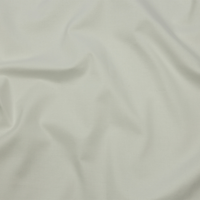 Rag & Bone Off White Stretch Cotton Twill | Mood Fabrics