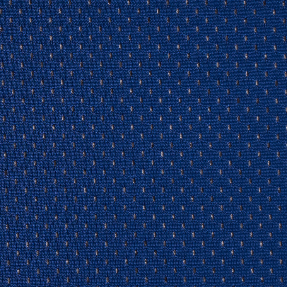 Royal Blue 100 Denier Polyester Athletic Mesh