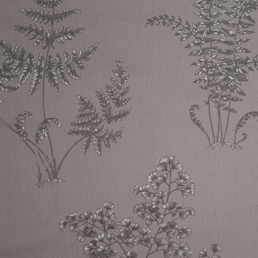 Slate Ferns on Cotton | Mood Fabrics