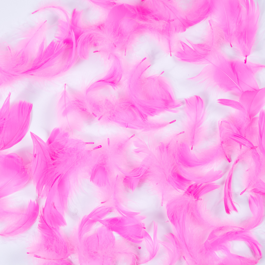 Pink 5 Gram Bag of Feathers | Mood Fabrics