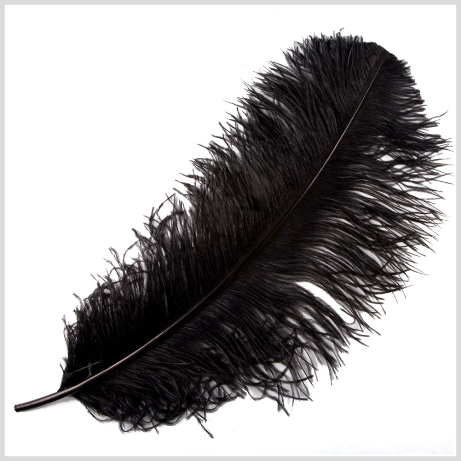 18-21 Black Ostrich Feather | Mood Fabrics