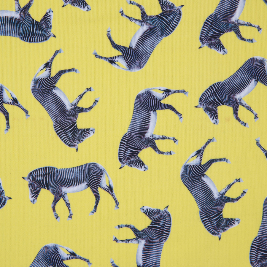 Zebras Printed on a UV Protective Compression Tricot w/ Aloe Vera Microcapsules | Mood Fabrics