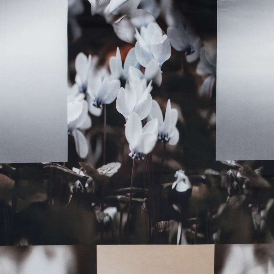 Italian Floral Color-Blocked Digitally Printed Scuba Knit Panel | Mood Fabrics