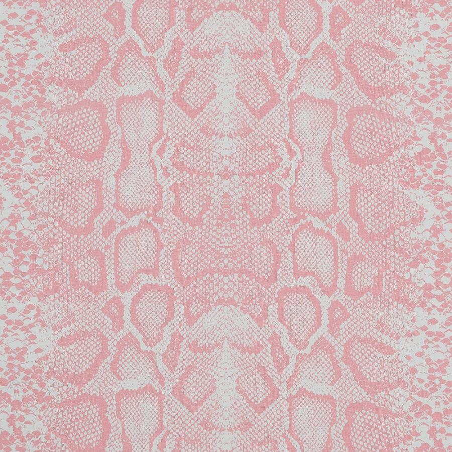 Pink Python Printed Cotton Jersey | Mood Fabrics