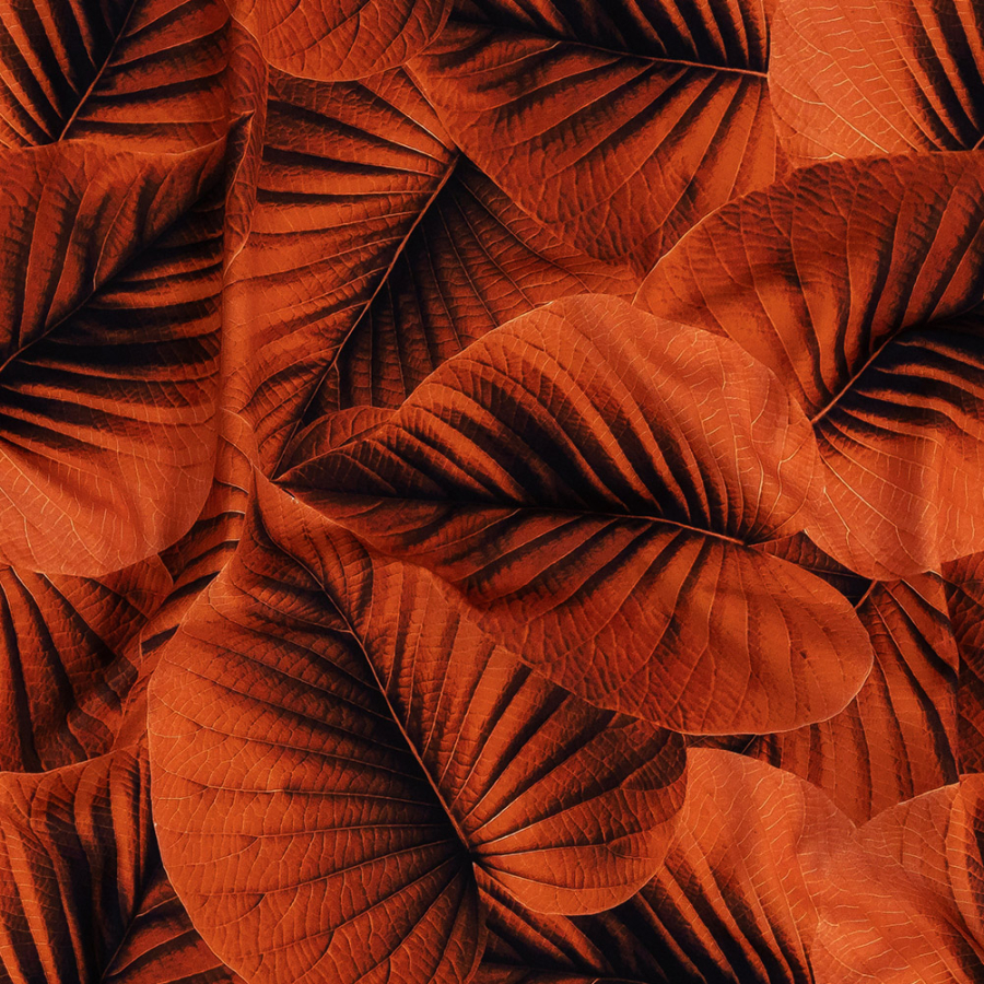 Full Burnt Ochre Leaves Caye UV Protective Compression Swimwear Tricot with Aloe Vera Microcapsules | Mood Fabrics