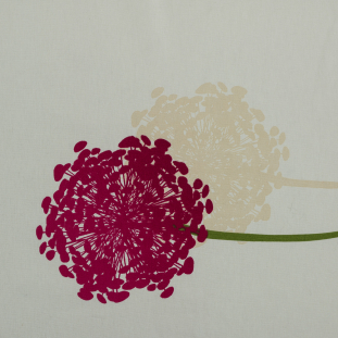 Cream and Fuchsia Dandelion Cotton Print