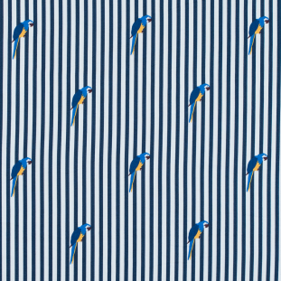 Mood Indigo Stripes and Parrots Printed on a Cotton Poplin