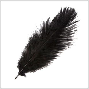 8-10 Black Ostrich Feather