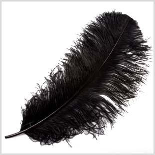 18-21 Black Ostrich Feather
