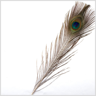 10 Green Peacock Feather