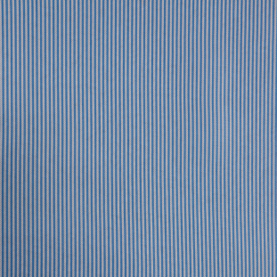 Rag & Bone Blue/White Pinstriped Rayon Lining