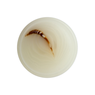 Cream and Brown Horn Shank Back Button - 40L/25.5mm