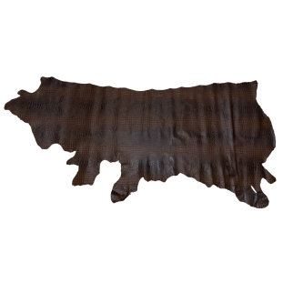 Medium Chocolate Alligator Embossed Half Cow Leather Hide