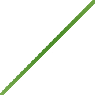 1/4 Apple Green Single Face Satin Ribbon
