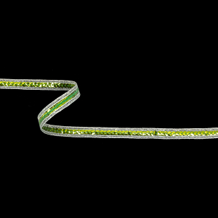 Lime Single Row Sequins and Metallic Silver Stripes Trim - 0.4375"