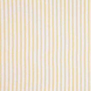 Gold Stripes Canvas